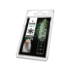 Graines de cannabis THC Nothern Lights - PLANT OF LIFE - Faire pousser des graines de cannabis