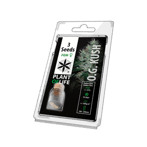 Graines de cannabis THC OG KUSH - PLANT OF LIFE - Faire pousser ses graines de cannabis