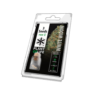 graines de cannabis thc white widow - Plant of life - faire pousser graines de cannabis